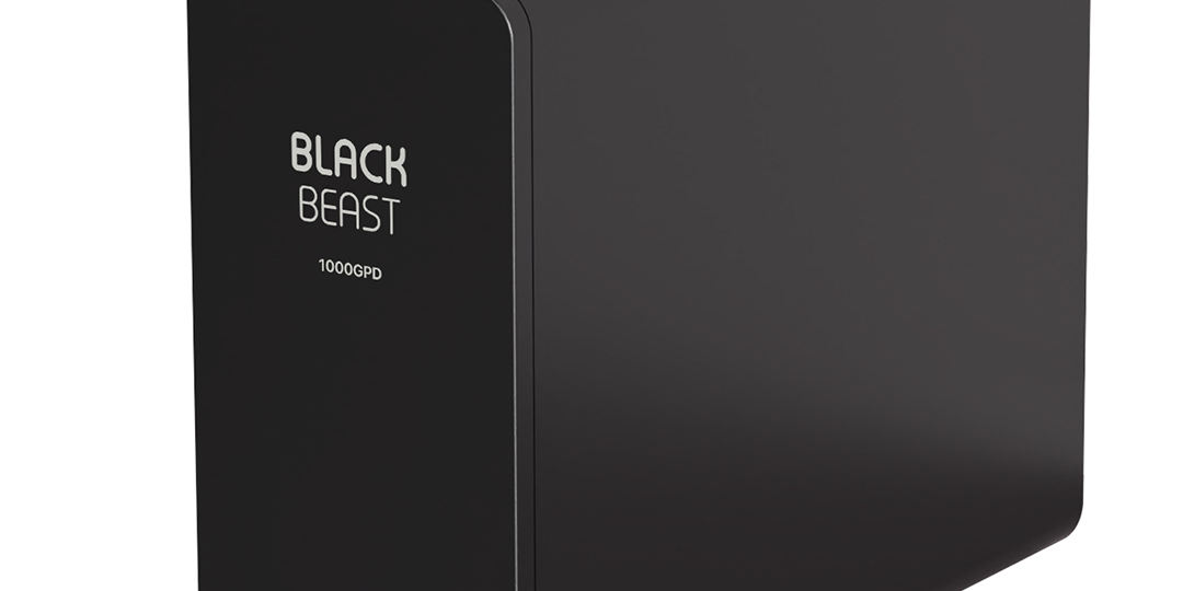 black-beast-1